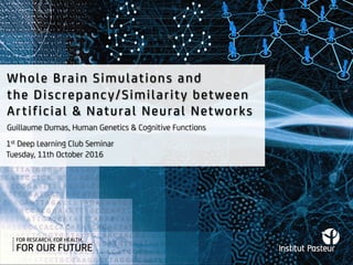 Whole Brain Simulations and
the Discrepancy/Similarity between
Artificial & Natural Neural Networks
1st Deep Learning Club Seminar
Tuesday, 11th October 2016
Guillaume Dumas, Human Genetics & Cognitive Functions
 