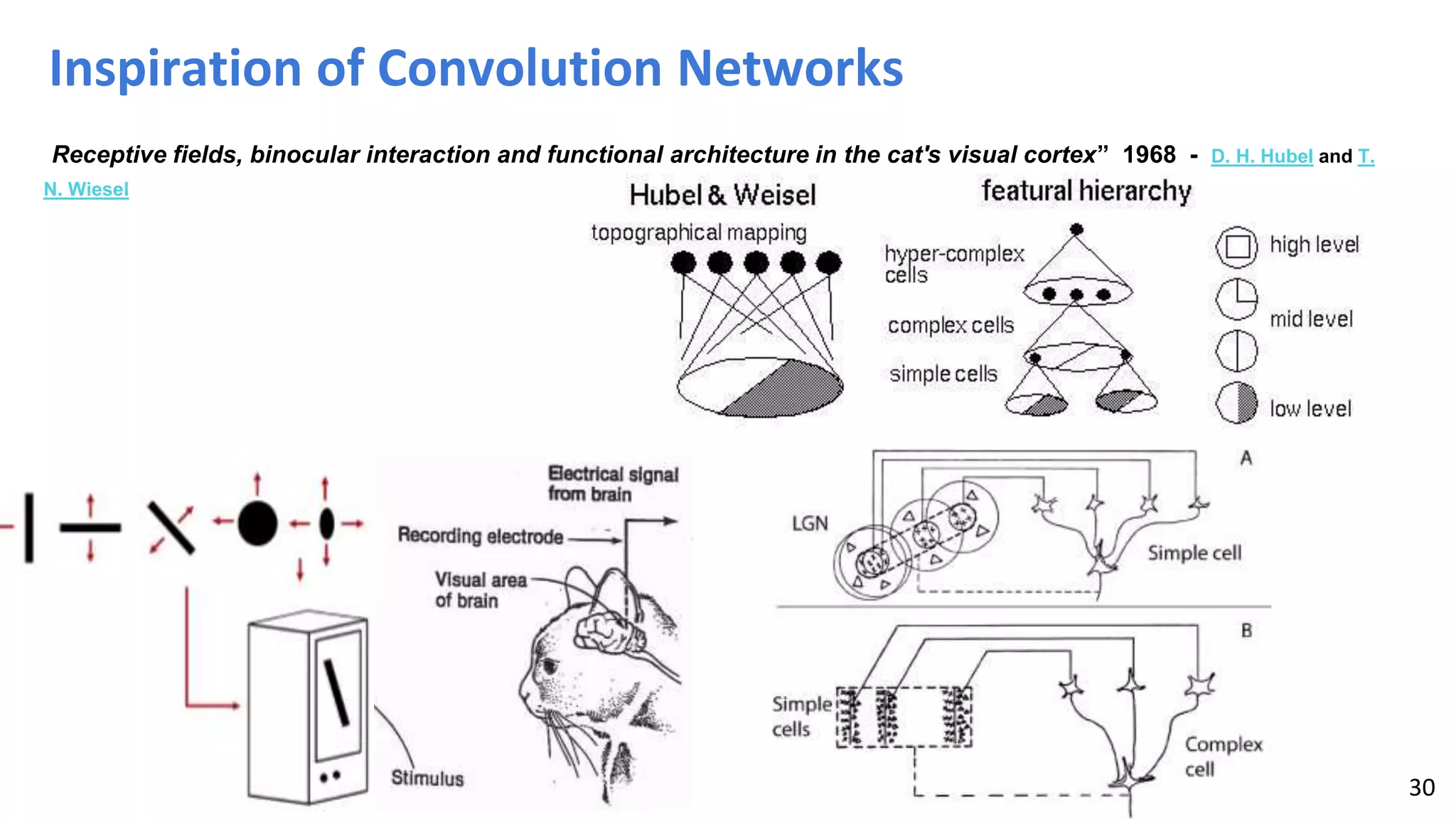 Inspiration of Convolution Networks
“Receptive fields, binocular interaction and functional architecture in the cat's visual cortex” 1968 - D. H. Hubel and T.
N. Wiesel
30
 