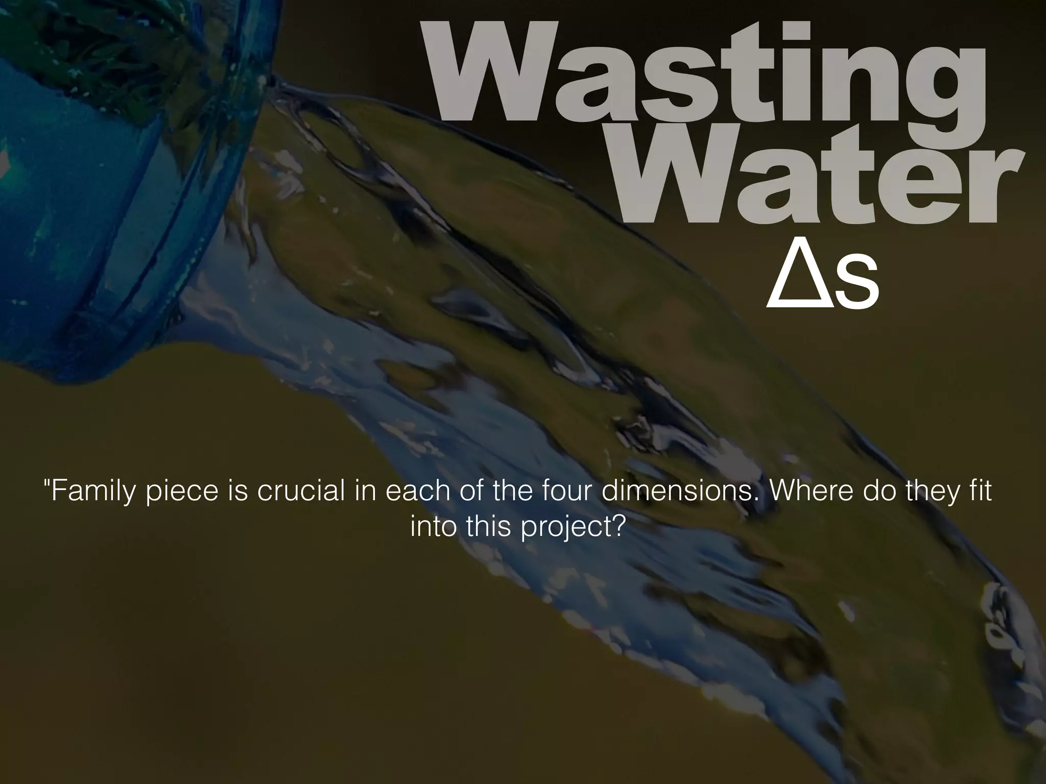 Wasting
Water
"Family piece is crucial in each of the four dimensions. Where do they ﬁt
into this project?
Δs
 