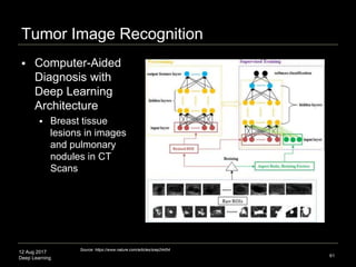 12 Aug 2017
Deep Learning
Applications: Cats to Cancer to Cognition
61
Source: Yann LeCun, CVPR 2015 keynote (Computer Vision ), "What's wrong with Deep Learning" http://t.co/nPFlPZzMEJ
Computational imaging: Machine learning for 3D microscopy
https://www.nature.com/nature/journal/v523/n7561/full/523416a.html
 