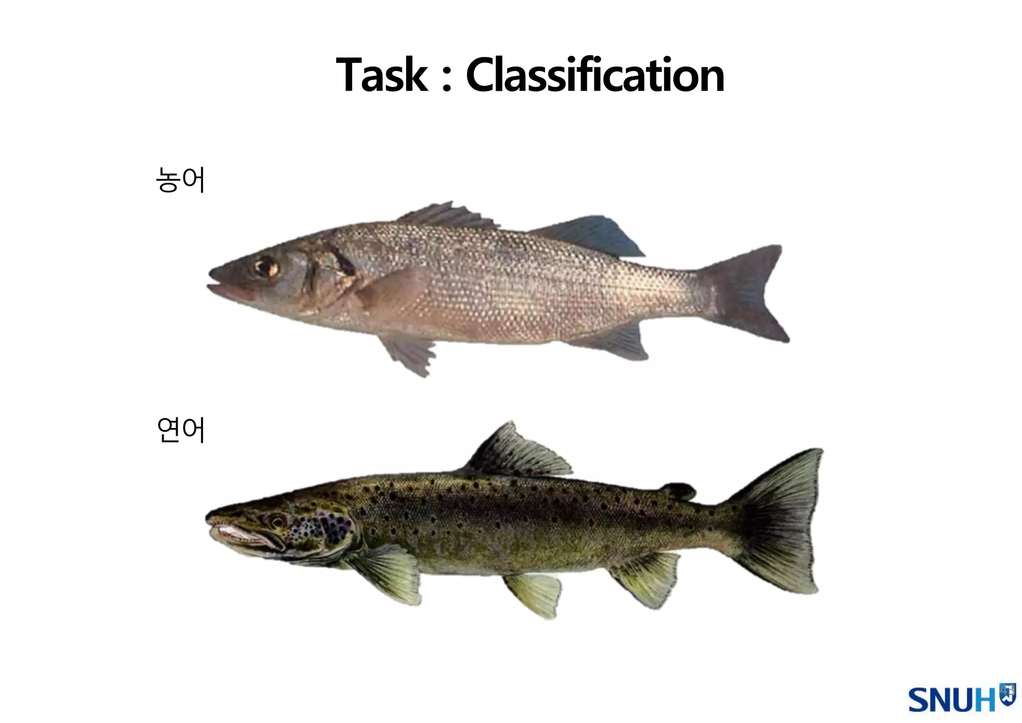 43
Task : Classification
농어
연어
 