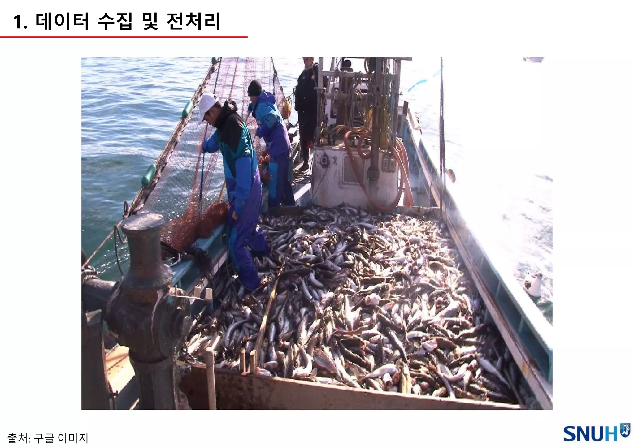 48
1. 데이터 수집 및 전처리
출처: 구글 이미지
 