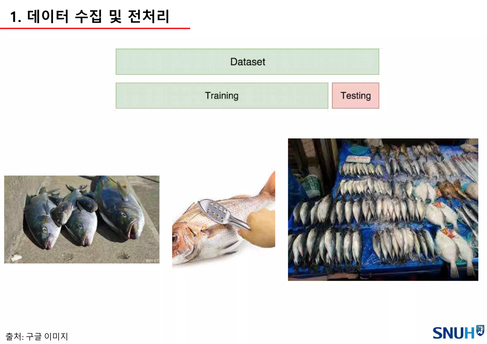49
1. 데이터 수집 및 전처리
출처: 구글 이미지
 