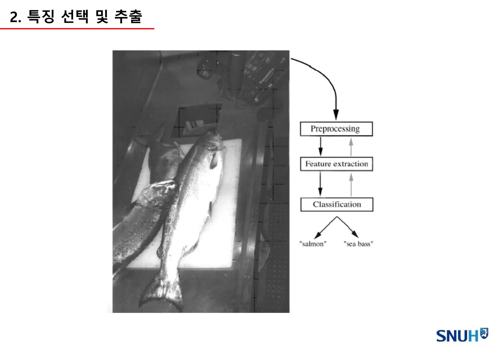 52
2. 특징 선택 및 추출
 