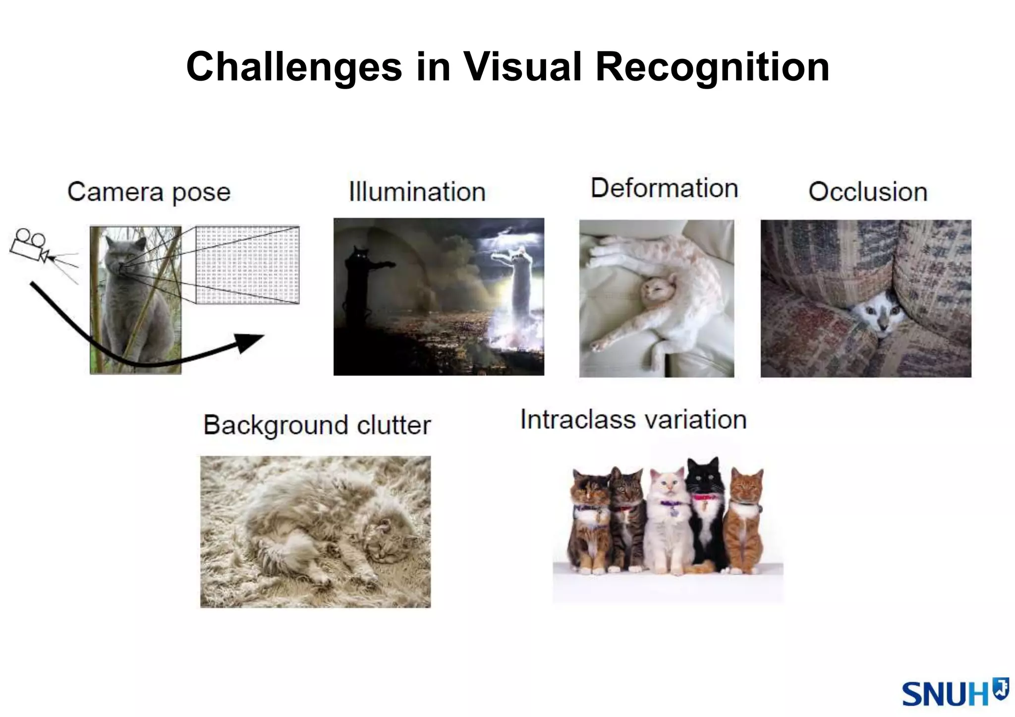 Challenges in Visual Recognition
 