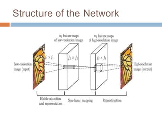 Structure of the Network
 