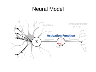 Neural Model
 