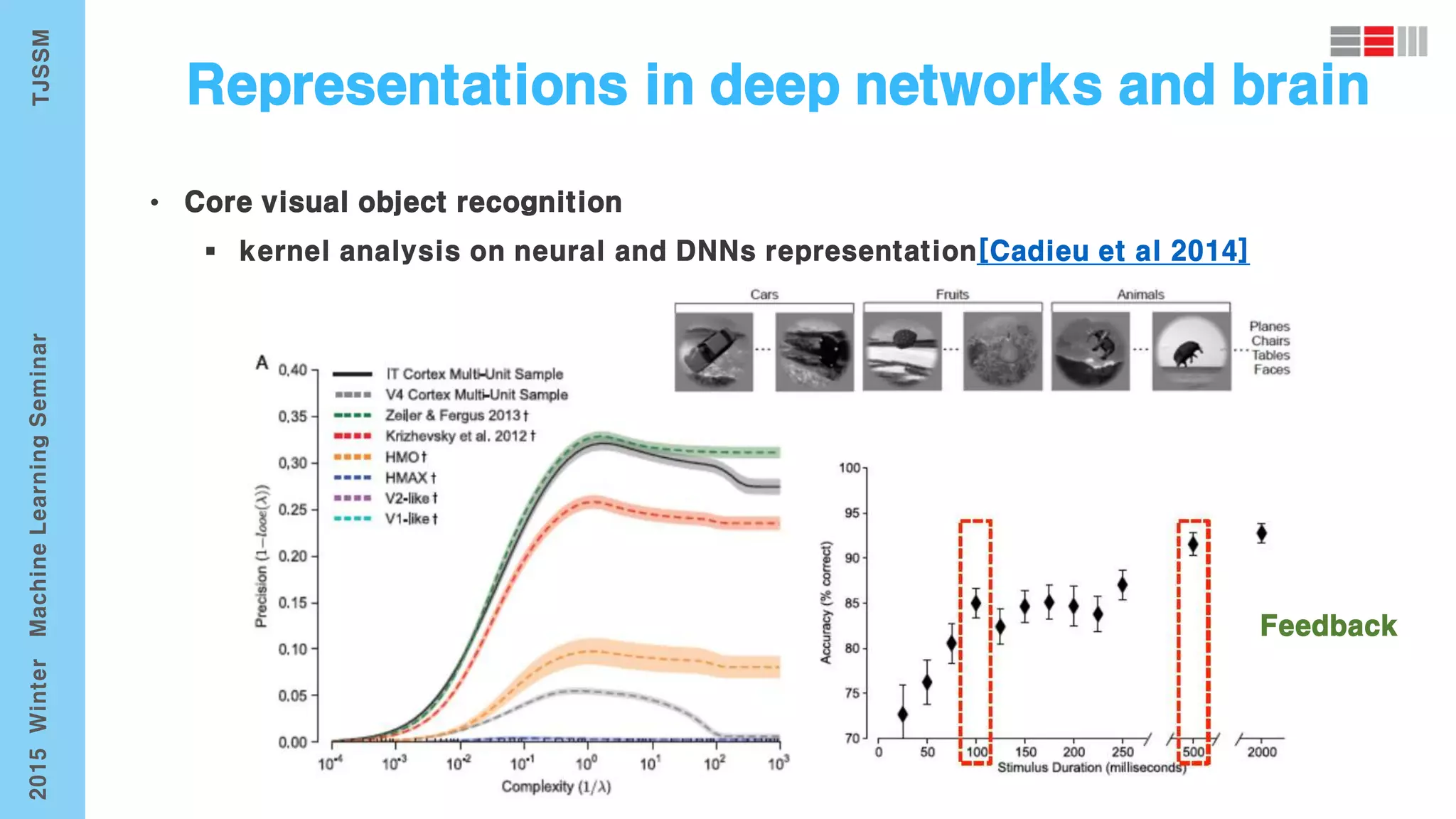 • Core visual object recognition
Feedback
 
