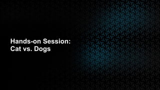 Hands-on Session:
Cat vs. Dogs
 