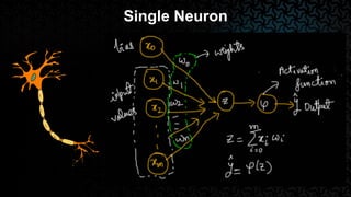 Single Neuron
 
