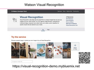https://visual-recognition-demo.mybluemix.net
Watson Visual Recognition
 