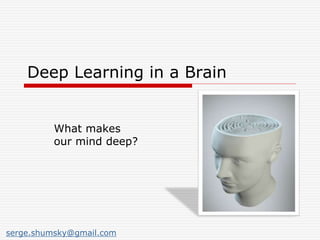 Deep Learning in a Brain
What makes
our mind deep?
serge.shumsky@gmail.com
 