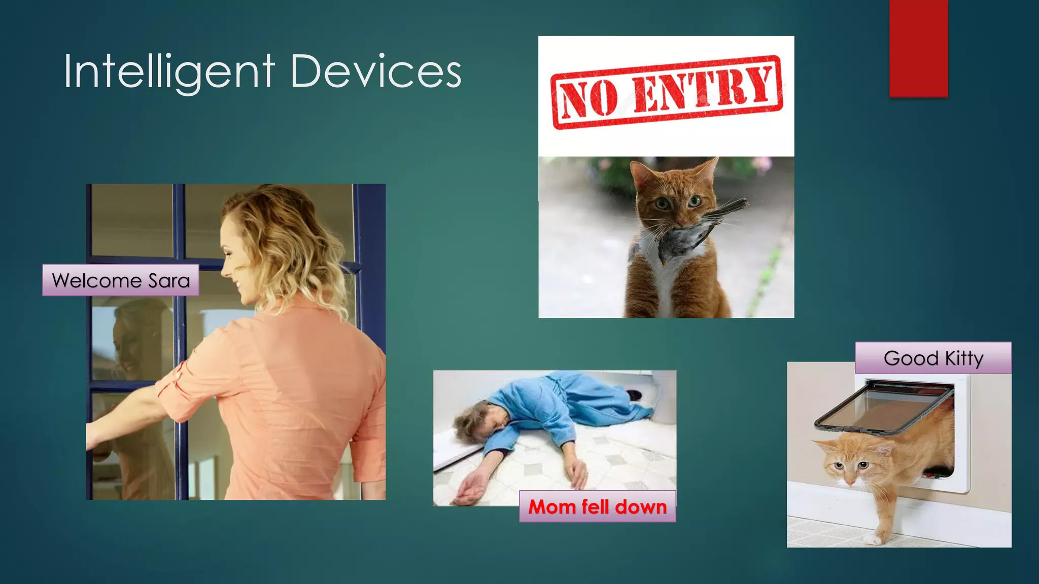 Intelligent Devices
Welcome Sara
Good Kitty
Mom fell down
 