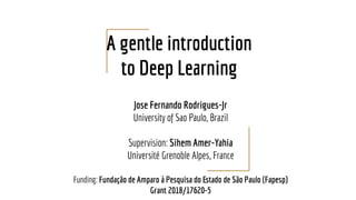 A gentle introduction to Deep Learning | PDF