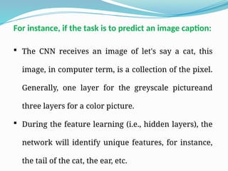  The CNN receives an image of let's say a cat, this
image, in computer term, is a collection of the pixel.
Generally, one layer for the greyscale pictureand
three layers for a color picture.
 During the feature learning (i.e., hidden layers), the
network will identify unique features, for instance,
the tail of the cat, the ear, etc.
For instance, if the task is to predict an image caption:
 