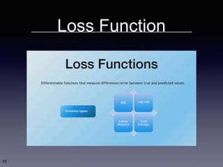 Loss Function
19
 