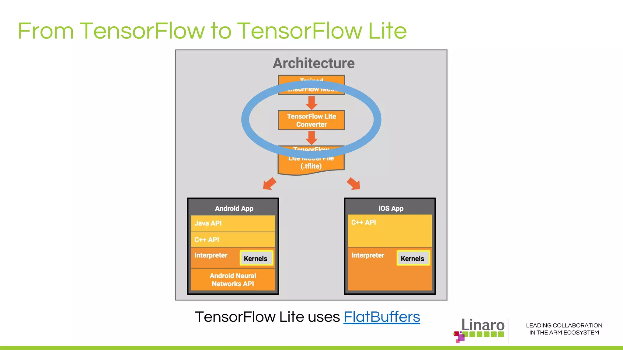 LEADING COLLABORATION
IN THE ARM ECOSYSTEM
From TensorFlow to TensorFlow Lite
TensorFlow Lite uses FlatBuffers
 
