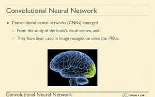 Convolutional Neural Network
Convolutional Neural Network
● Convolutional neural networks (CNNs) emerged
○ From the study of the brain’s visual cortex, and
○ They have been used in image recognition since the 1980s.
 