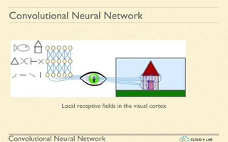 Convolutional Neural Network
Convolutional Neural Network
Local receptive fields in the visual cortex
 
