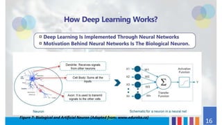 Figure 7: Biological and Artificial Neuron (Adapted from: www.edureka.co)
16
 