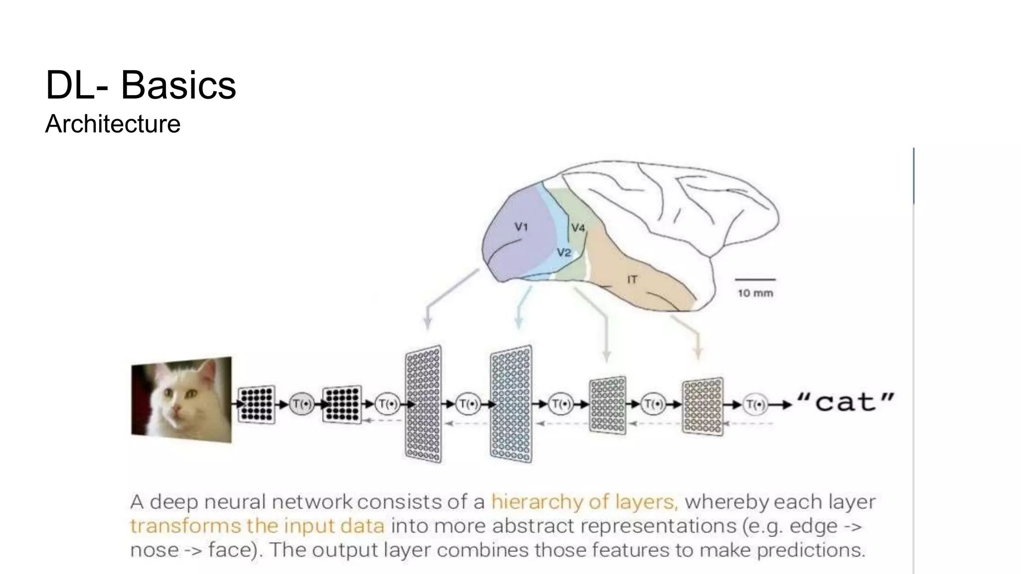 DL- Basics
Architecture