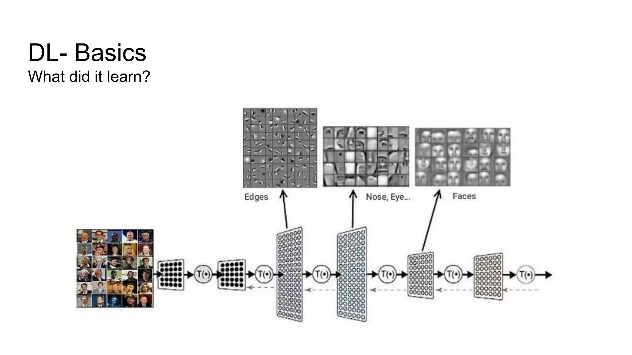 DL- Basics
What did it learn?