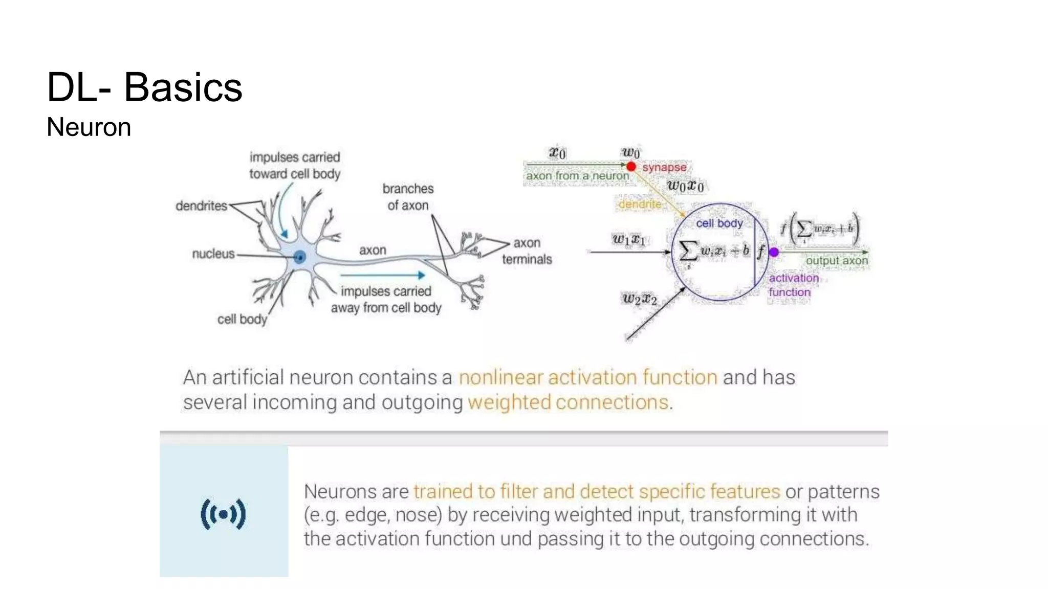 DL- Basics
Neuron