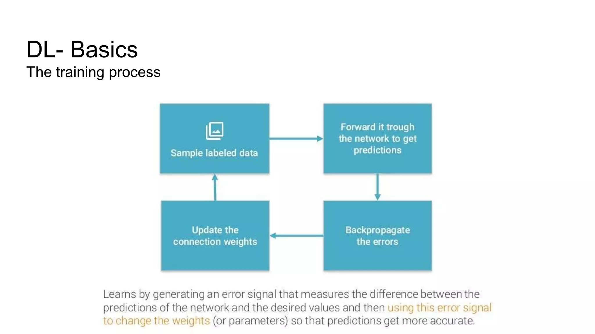 DL- Basics
The training process