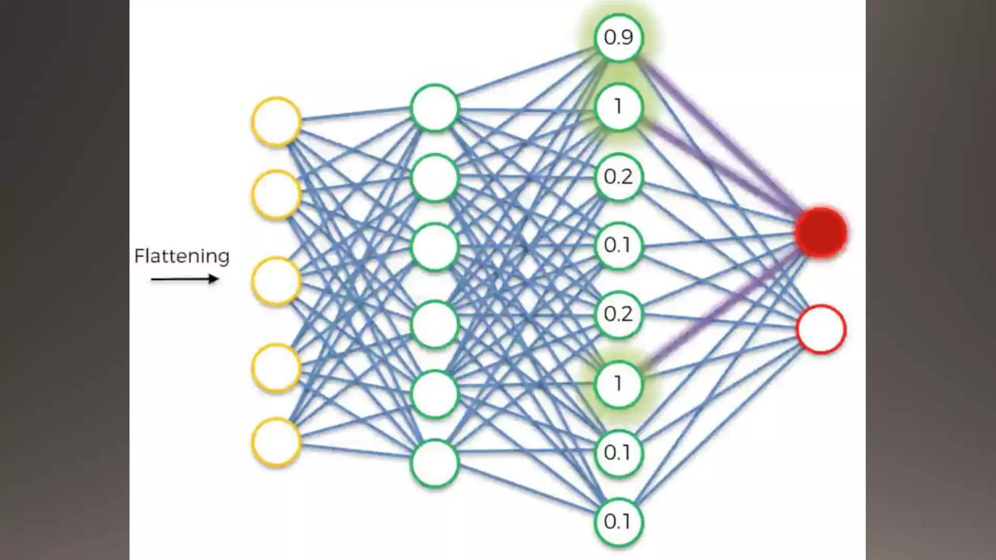 Deep Learning and Convolutional Neural Networks | PPT | Free Download
