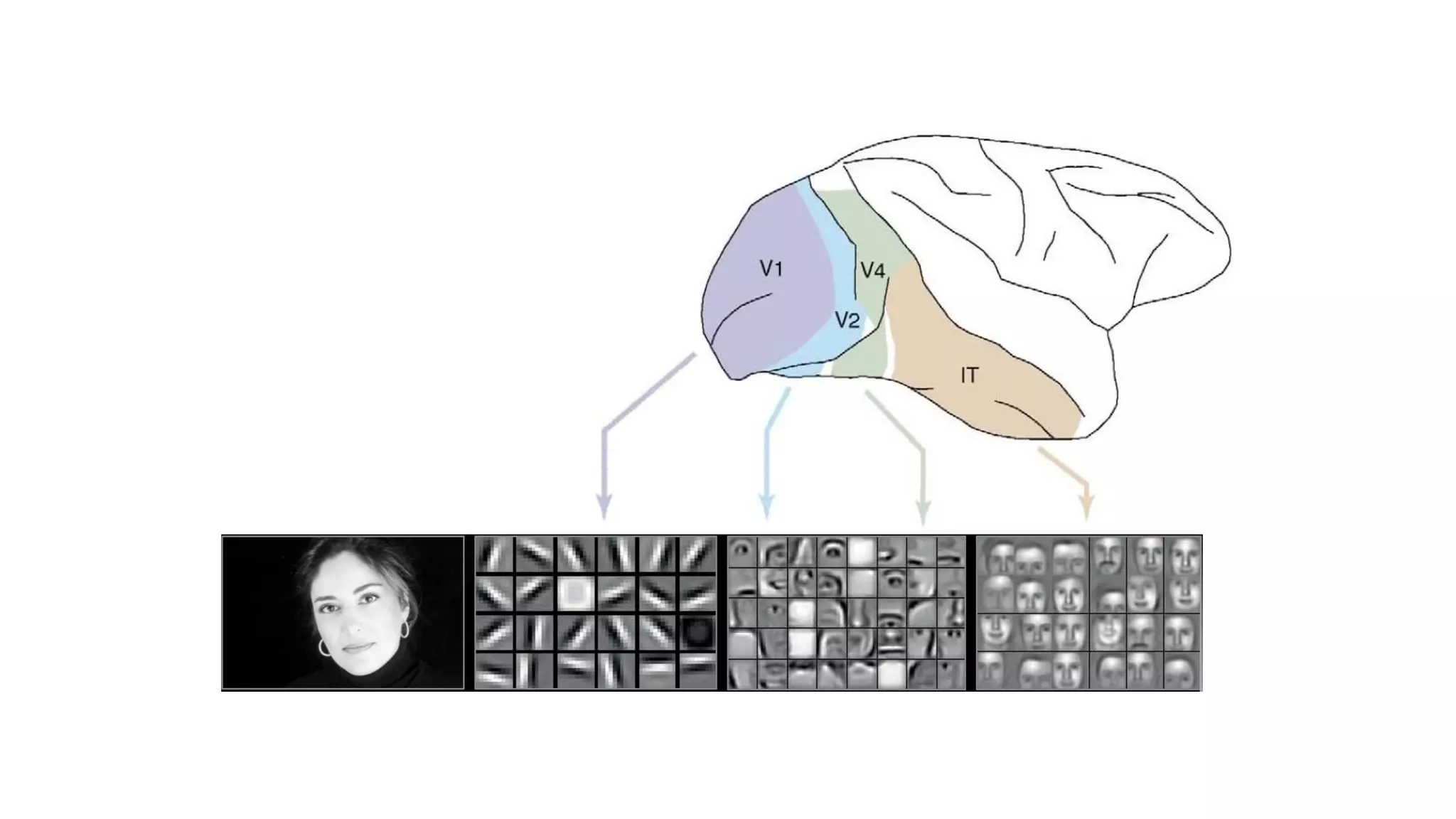 “cat”
● Loosely based on
(what little) we know
about the brain
What is Deep Learning?
“cat”
● Loosely based on
(what little) we know
about the brain
What is Deep Learning?
“cat”
● Loosely based on
(what little) we know
about the brain
What is Deep Learning?
“cat”
● Loosely based on
(what little) we know
about the brain
What is Deep Learning?
“cat”
● Loosely based on
(what little) we know
about the brain
What is Deep Learning?
“cat”
● Loosely based on
(what little) we know
about the brain
What is Deep Learning?
WHAT MAKES DEEP LEARNING DEEP?
Today’s Largest
Networks
~10 layers
1B parameters
10M images
~30 Exaflops
~30 GPU days
Human brain has tr
of parameters – on
 