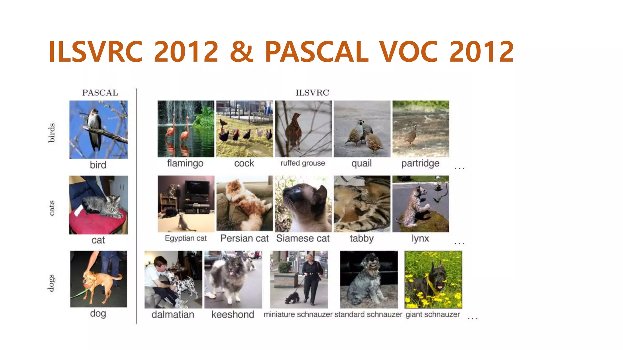 ILSVRC 2012 & PASCAL VOC 2012
 