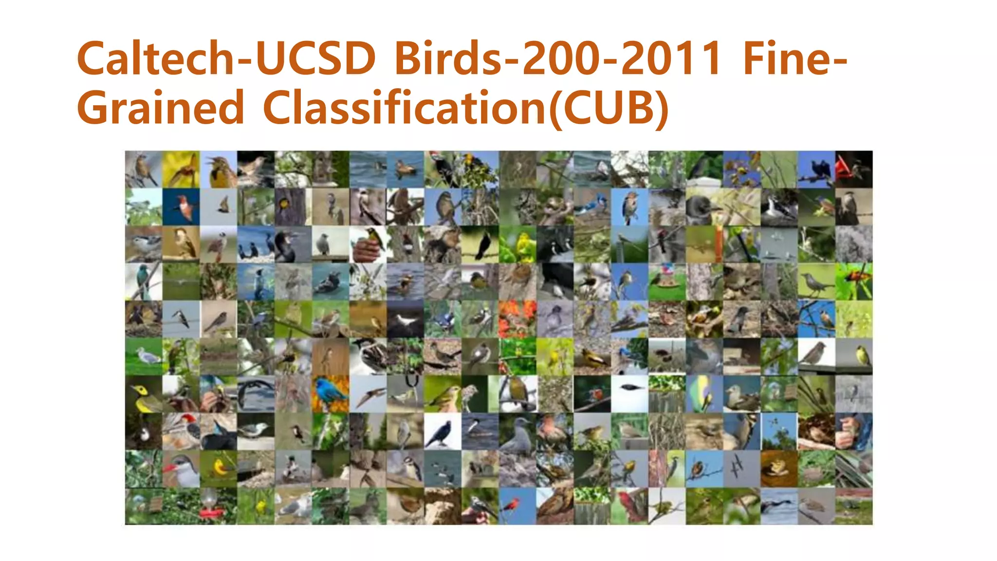 Caltech-UCSD Birds-200-2011 Fine-
Grained Classification(CUB)
 