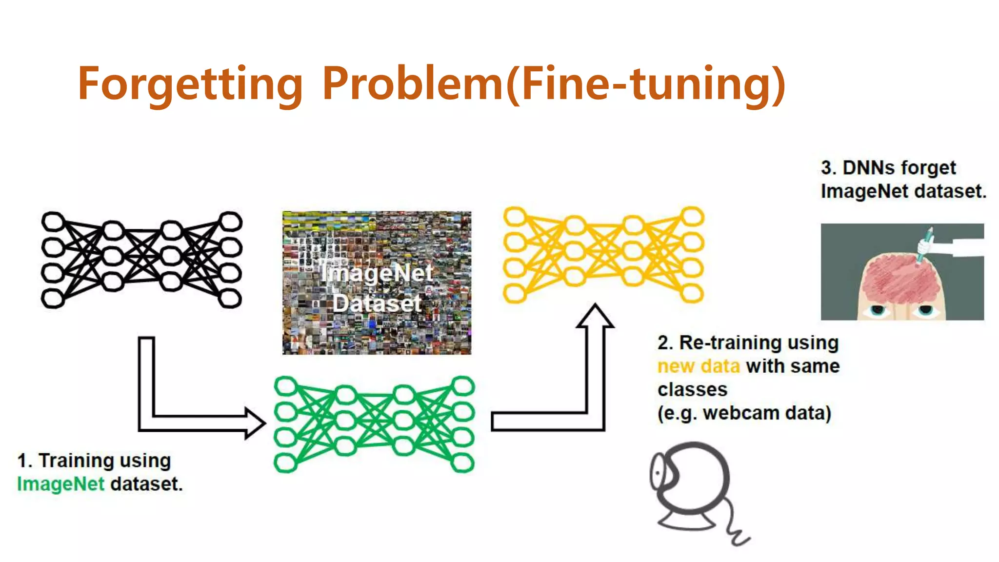 Forgetting Problem(Fine-tuning)
 