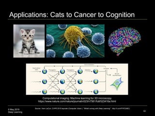 6 May 2019
Deep Learning
Applications: Cats to Cancer to Cognition
62
Source: Yann LeCun, CVPR 2015 keynote (Computer Vision ), "What's wrong with Deep Learning" http://t.co/nPFlPZzMEJ
Computational imaging: Machine learning for 3D microscopy
https://www.nature.com/nature/journal/v523/n7561/full/523416a.html
 