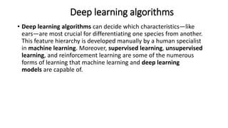 Deep Learnings Training.pptx
