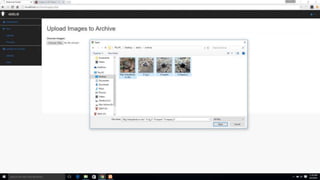 36
The ADELIE Meteorite Hunter
 