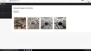 37
The ADELIE Meteorite Hunter
 