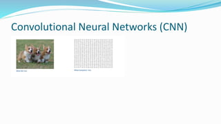 Convolutional Neural Networks (CNN)
 