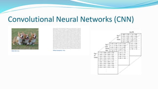 Convolutional Neural Networks (CNN)
 