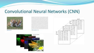 Convolutional Neural Networks (CNN)
 