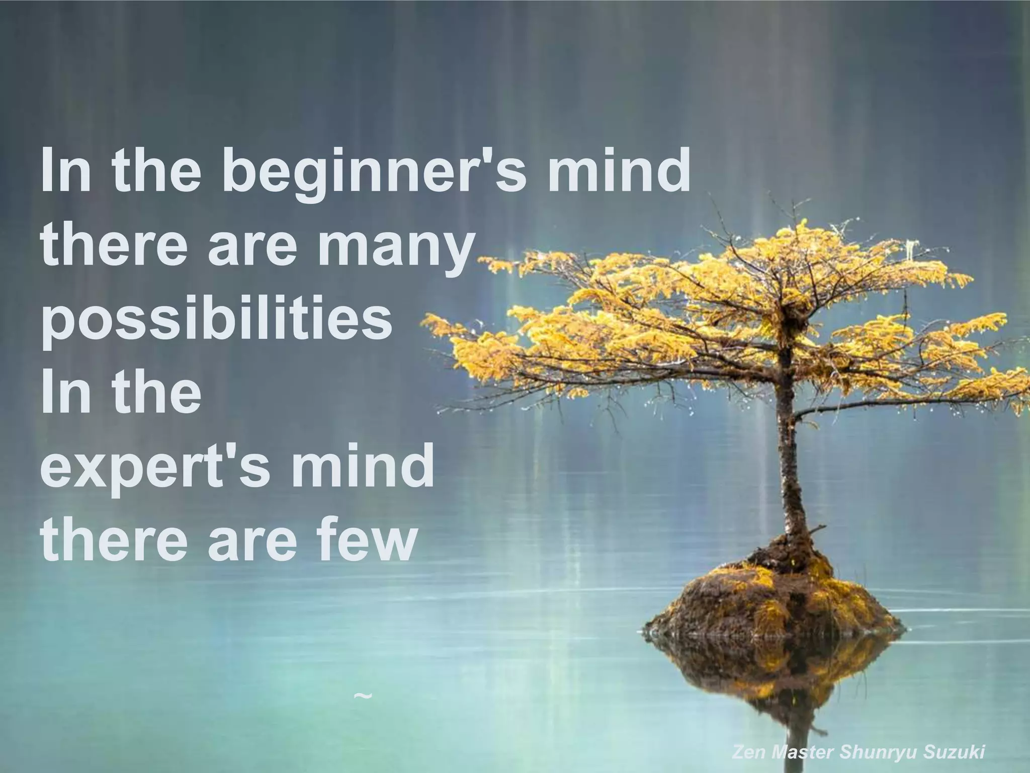 In the beginner's mind
there are many
possibilities
In the
expert's mind
there are few
~
Zen Master Shunryu Suzuki
 
