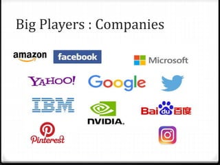 Big Players : Companies
 