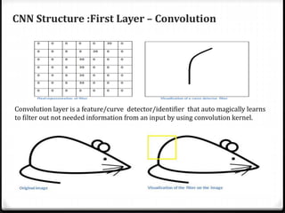 CNN Structure :First Layer – Convolution
Convolution layer is a feature/curve detector/identifier that auto magically learns
to filter out not needed information from an input by using convolution kernel.
 