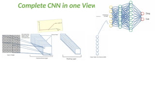 Complete CNN in one View
 