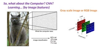 So, what about the Computer? CNN?
Learning… (by image features)
Gray scale image or RGB image
 