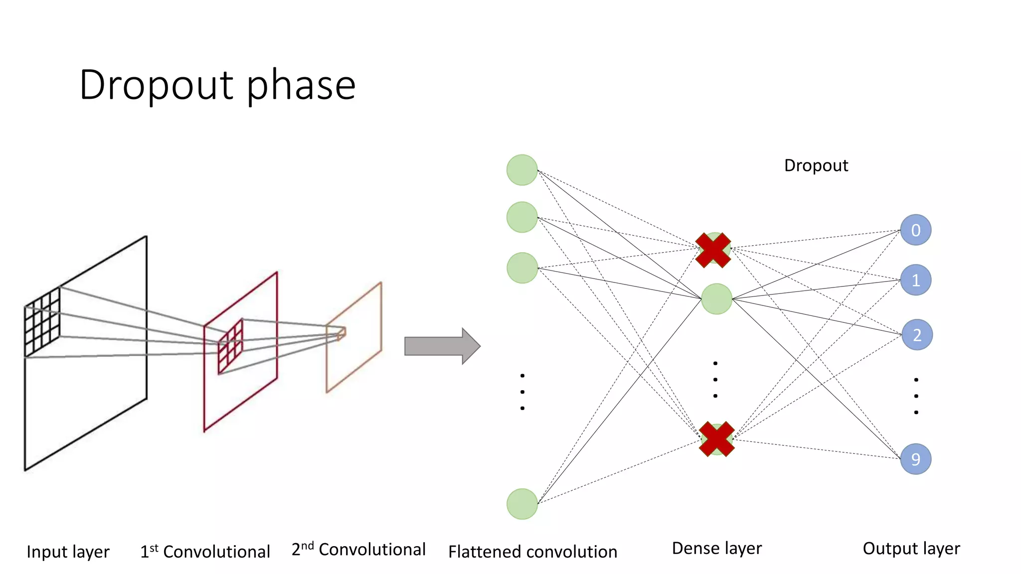Dropout phase
...
Dense layer
2
9
0
1
...
Output layer
...
Flattened convolutionInput layer 1st Convolutional 2nd Convolutional
Dropout
 