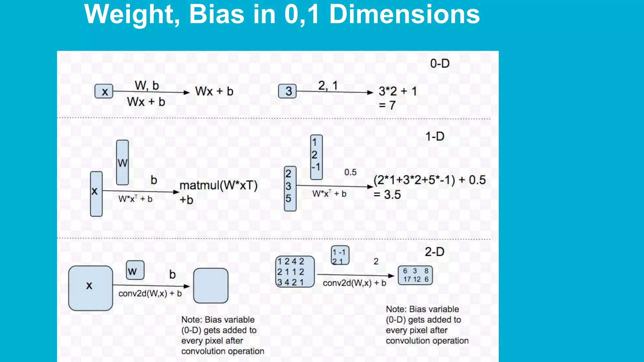 Weight, Bias in 0,1 Dimensions 
