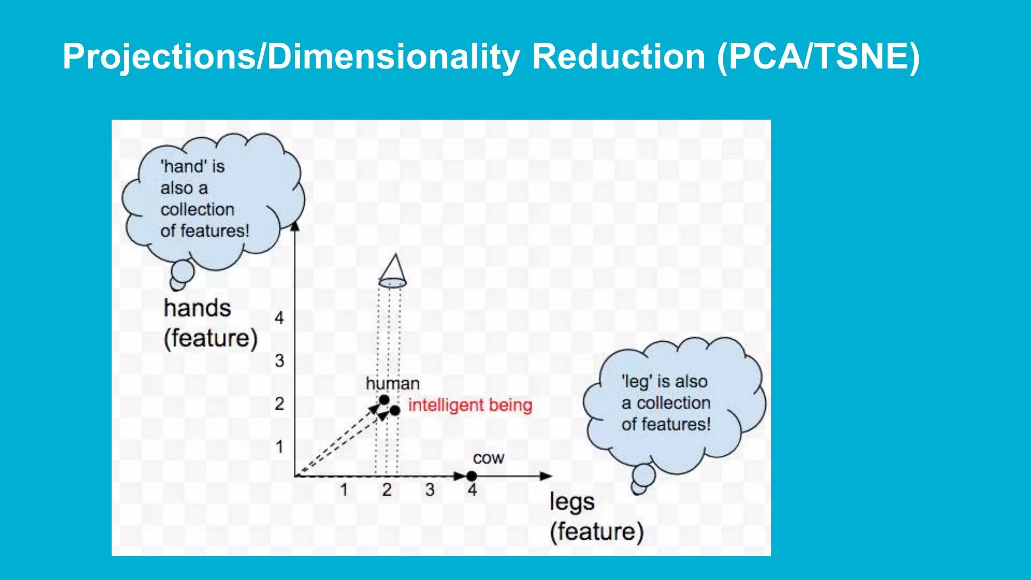 Projections/Dimensionality Reduction (PCA/TSNE) 