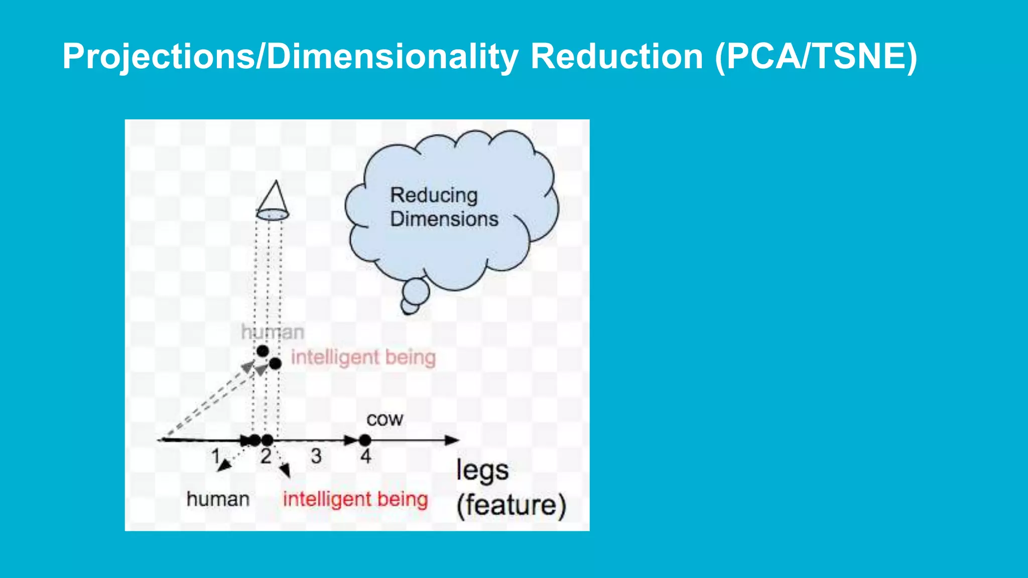Projections/Dimensionality Reduction (PCA/TSNE) 