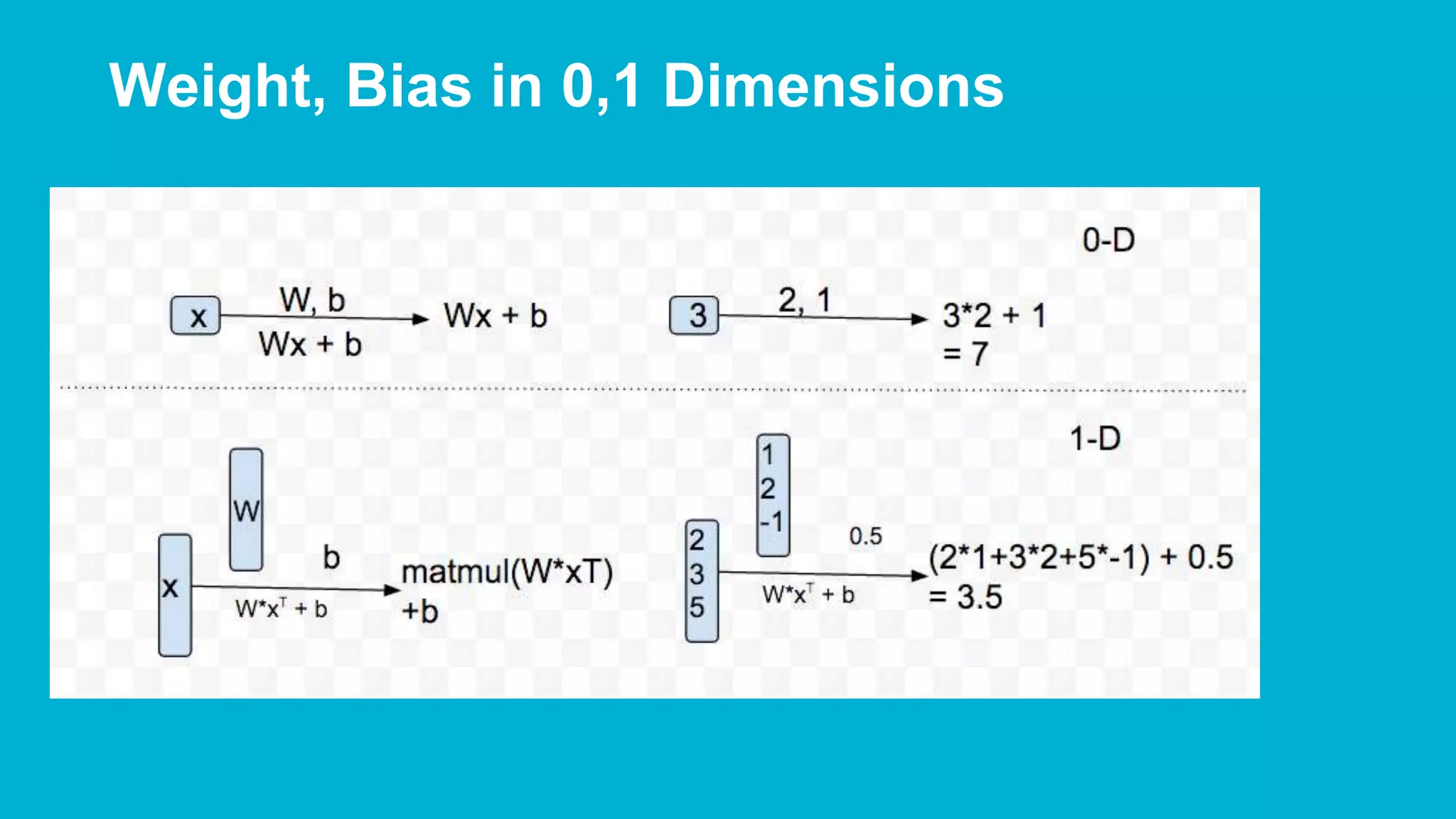Weight, Bias in 0,1 Dimensions 